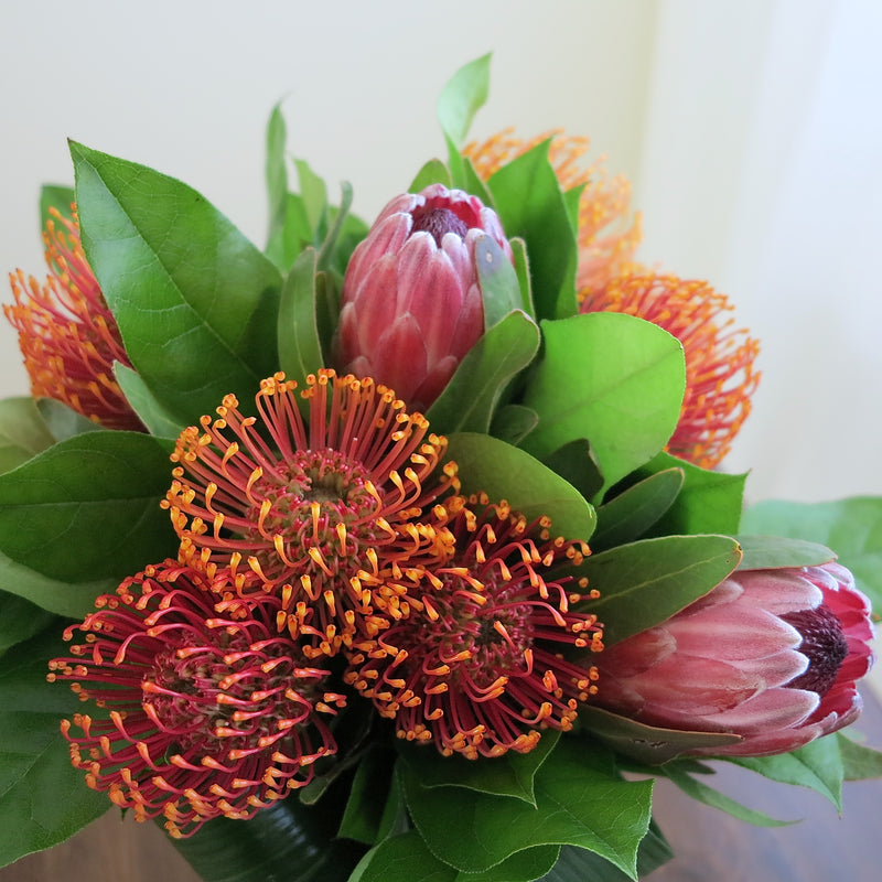 Flowers used: orange and pink proteas