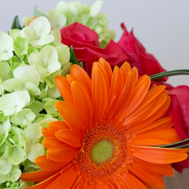 Flowers used: red roses, orange gerberas, green hydrangeas