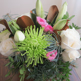 Flowers used:  white roses, green chrysanthemums, magnolia leaves, white amaryllis, pink ranunculus, evergreens