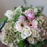 Flowers used: pink peonies, rusty green hydrangeas, cream roses, white and pink gerberas